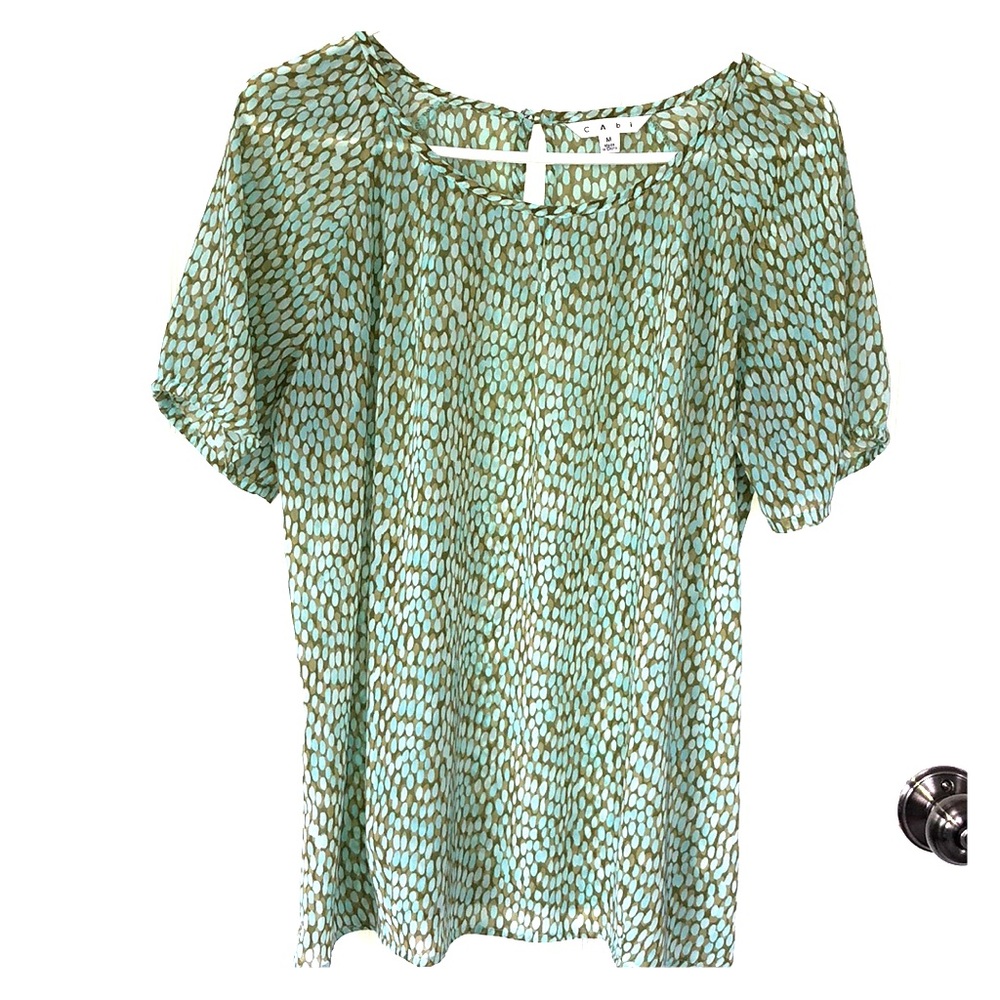CAbi blouse, size M